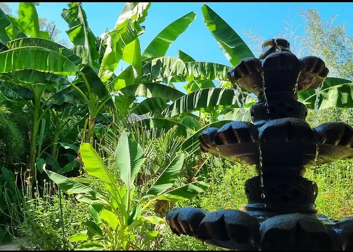 Des Jardins De Valaurie * Corbés